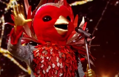 Robin (The Masked Singer)